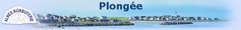 Plonge